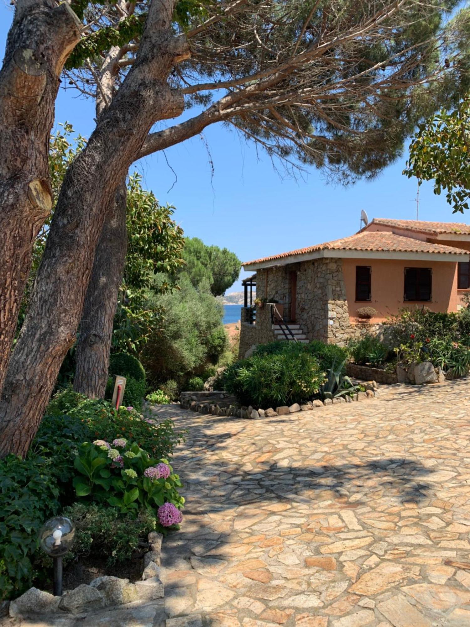 Casa Bougainvillea Casa Azara Εξωτερικό φωτογραφία